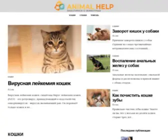 Animalhelp.online(Мы и наше будущее) Screenshot