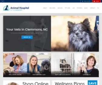 Animalhospitalofclemmons.com(Animal Hospital of Clemmons) Screenshot