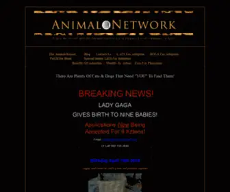 Animalnetwork.org(Animal Network of Orange County) Screenshot