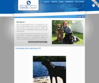 Animalnouveaudepart.com(Centre Animal Nouveau Départ. Centre animalier dans la région de St) Screenshot