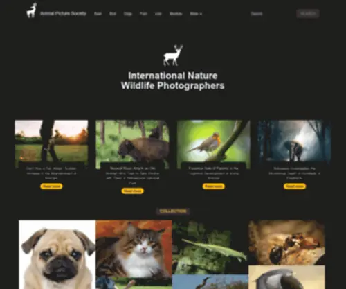 Animalpicturesociety.com(Animalpicturesociety) Screenshot