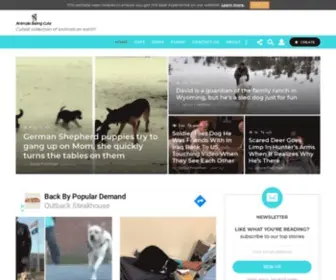 Animalsbeingcute.com(Animals Being Cute) Screenshot