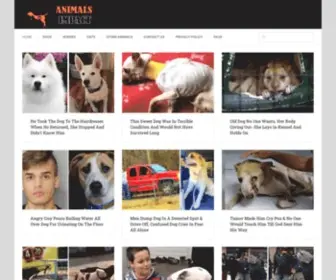 Animalsimpact.com(Animals Impact) Screenshot