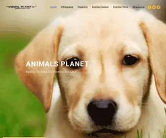 Animalsplanet.gr(Αγγελίες Σκύλων) Screenshot
