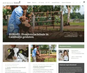 Animalstoday.nl(AnimalsToday (voorheen PiepVandaag)) Screenshot