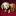 Animalswithstuffedanimals.com Favicon