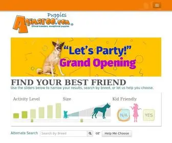 Animaroo.com(Puppies for Sale) Screenshot