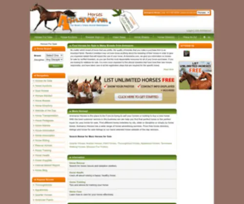Animaroohorses.com(Horses for Sale) Screenshot