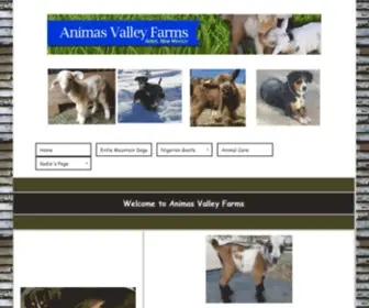 Animasfarms.com(Miniature horses for sale in nm) Screenshot