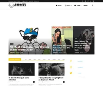 Animmals.com(Dogs of the day) Screenshot