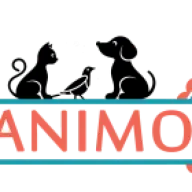 Animo-Peche.com Favicon