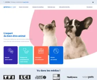 Animoscope.com(Prenez les meilleures décisions pour préserver le bien) Screenshot
