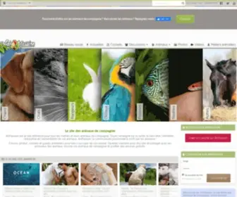 Anipassion.com(Les animaux de compagnie. Découvrez les animaux domestiques et conseils animaliers) Screenshot