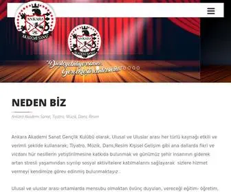 Ankaraakademisanat.com(Ankara Akademi Sanat) Screenshot