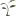 Annatura.com Logo