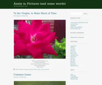 Annie.org(Annie) Screenshot