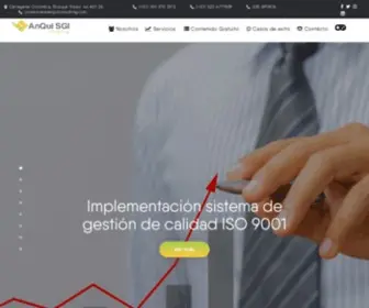 Anquiconsulting.com(Anqui) Screenshot