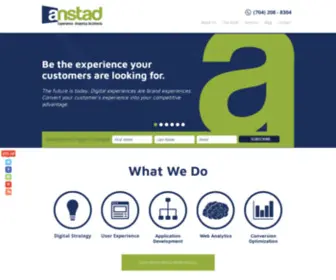 Anstad.com(Creative Internet Marketing and Website Design Company) Screenshot