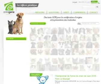 Antagene.com(Le laboratoire ANTAGENE est le spécialiste des tests ADN chien/chat) Screenshot