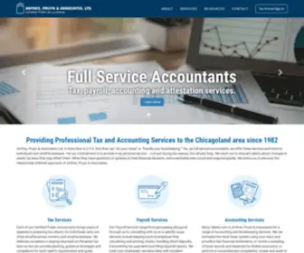 Anthespruyn.com(Professional Tax and Accounting Services in Chicago) Screenshot