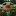 Anthonyeichenlaub.com Favicon