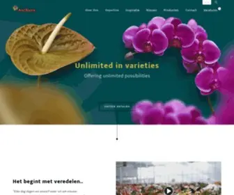 Anthura.nl(Veredelaar in anthurium en orchidee) Screenshot