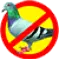 Anti-Bird.com Favicon