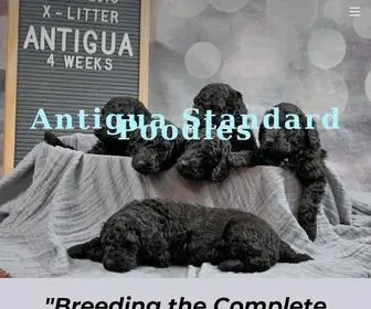 Antiguastandardpoodles.com(Antiguastandardpoodles) Screenshot