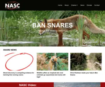 Antisnaring.org.uk(National Anti Snaring Campaign) Screenshot