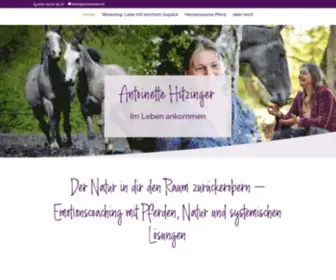 Antoinettehitzinger.com(Antoinette Hitzinger) Screenshot