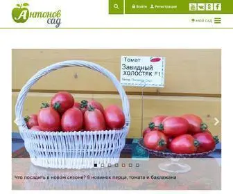 Antonovsad.ru(Сайт) Screenshot