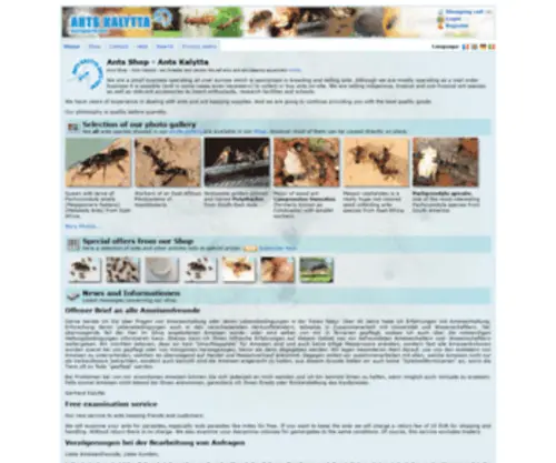 ANTS-Kalytta.com(Ants Kalytta) Screenshot