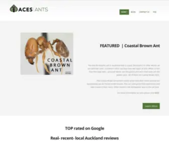 Antspestcontrol.co.nz(ACES Ants) Screenshot