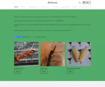 Antsrus.com(Live Ants) Screenshot