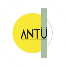 Antuinversioninmobiliaria.cl Favicon