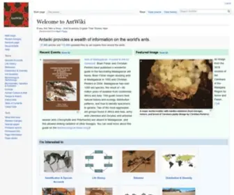 Antwiki.org(Antwiki) Screenshot