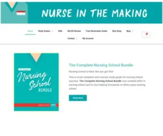 Anurseinthemaking.com(NurseInTheMaking) Screenshot