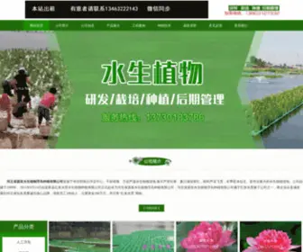 Anxinchina.com(我公司) Screenshot