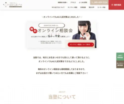 AO-Pro.com(WordPress) Screenshot