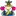 Aoi-Noen.com Favicon