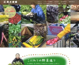 Aokinouen.com(三浦野菜) Screenshot