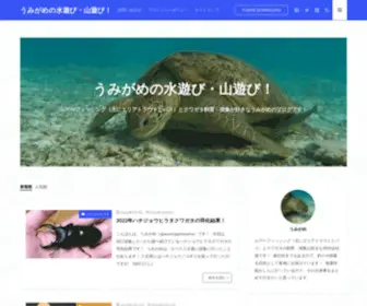 Aoumigame.com(│うみがめの水遊び) Screenshot