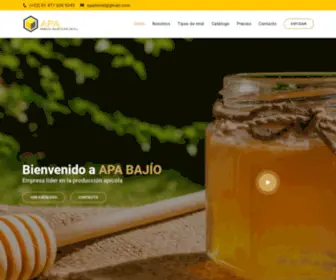 Apabajio.com(APA BAJIO) Screenshot