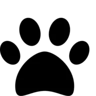 Apachi.it Favicon