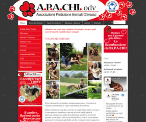 Apachi.it(Apachi) Screenshot