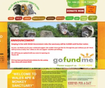 Ape-Monkey-Rescue.org.uk(Wales Ape & Monkey Sanctuary) Screenshot