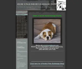 Aperfectbulldogge.com(Worlds Best Olde English Bulldogge Breeder/ Healthy bulldogge puppies for sale/A Perfect Pet Olde English Bulldogges) Screenshot