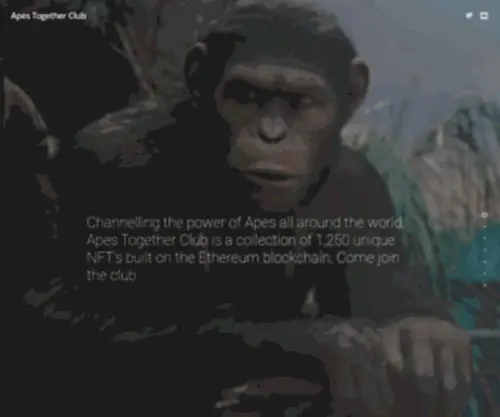 Apestogether.club(The Ape NFT Collection) Screenshot