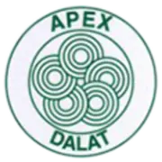 ApexDalat.com Favicon