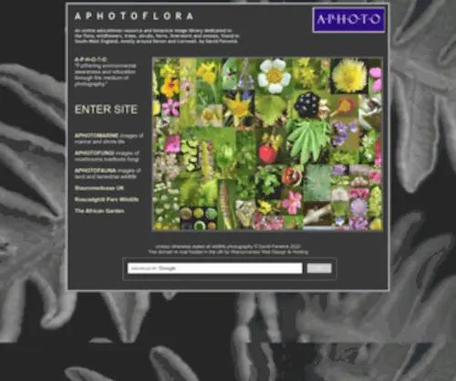 Aphotoflora.com(Cyanobacteria) Screenshot